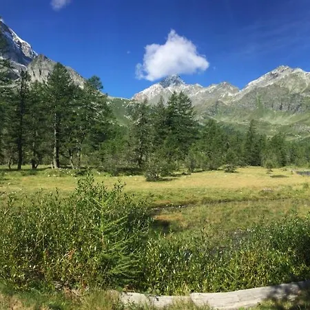 Il Cerbiatto Сasa de vacaciones