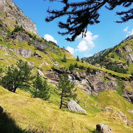 Il Cerbiatto Nyaraló