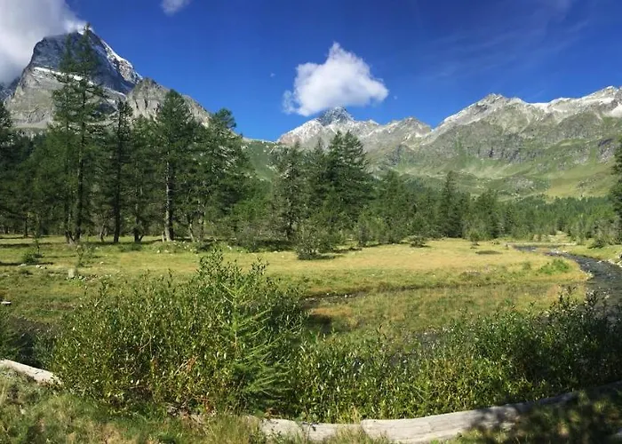 Il Cerbiatto Tatil Evi
