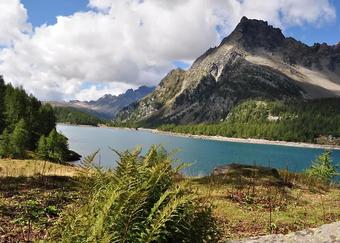 Il Cerbiatto Hébergement de vacances