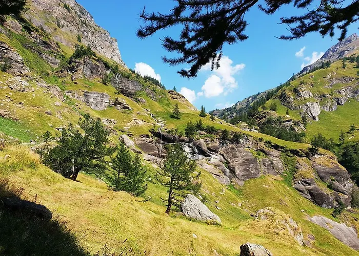 Il Cerbiatto Tatil Evi